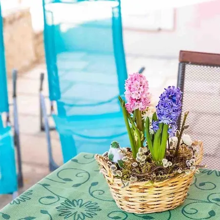 None Apartment Cavtat