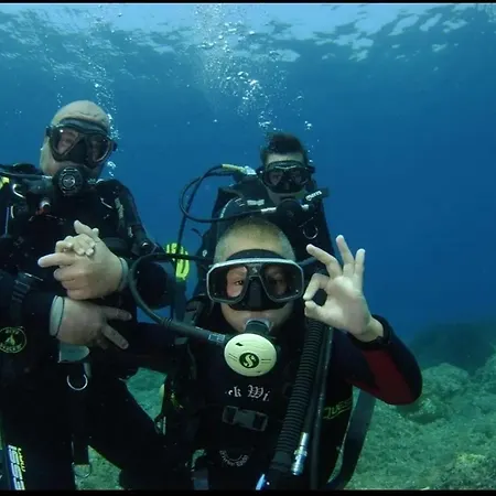 None Apartman Cavtat