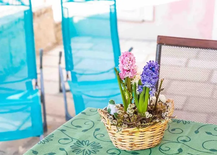 None Lägenhet Cavtat