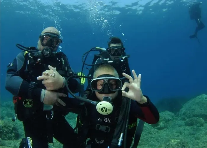 None Lägenhet Cavtat